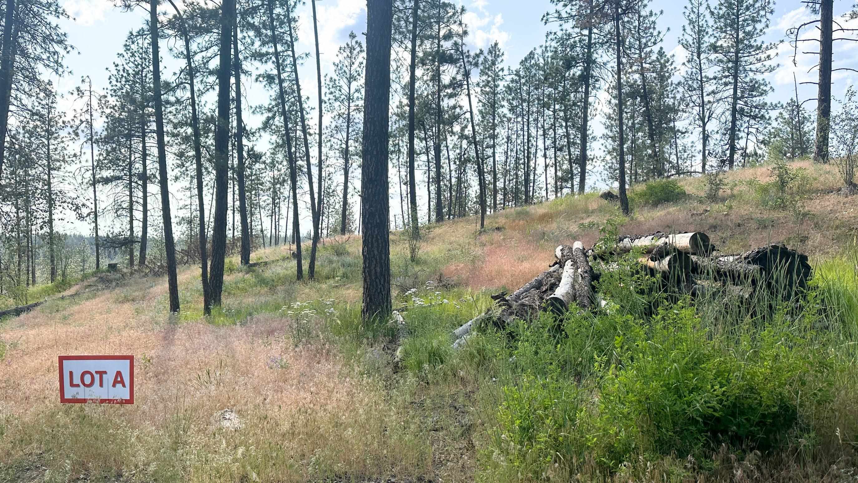 Property Photo: Nka Lower Weaver Lot A Way WA 99006