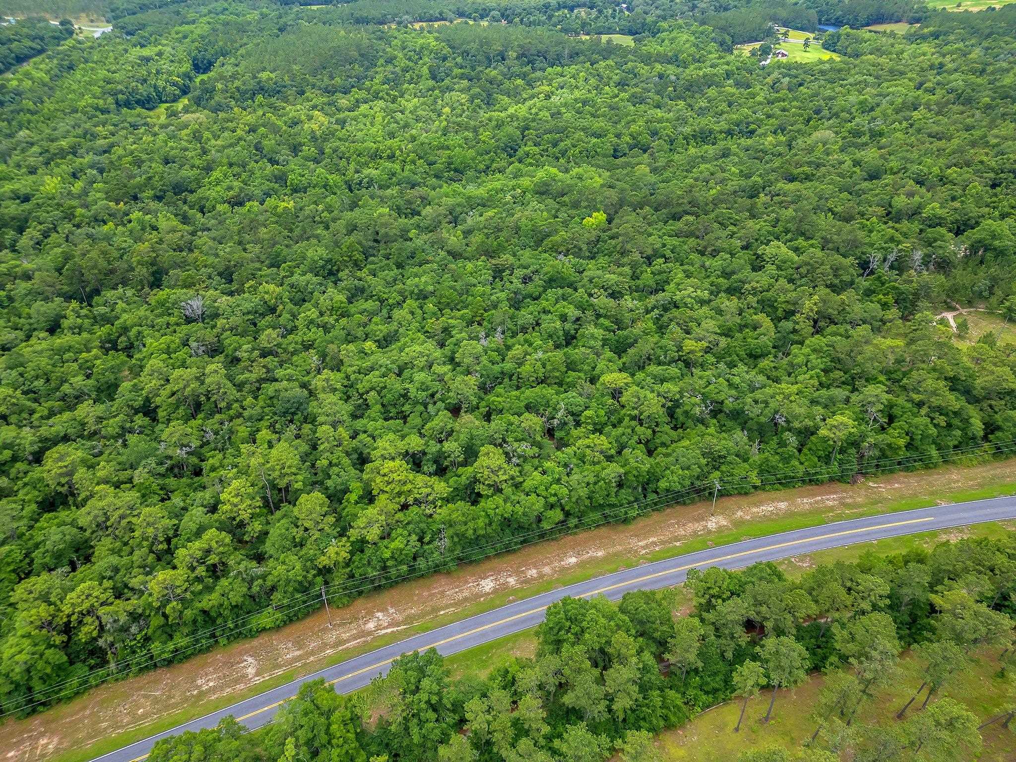 Property Photo: Xx Old Federal Road FL 32351