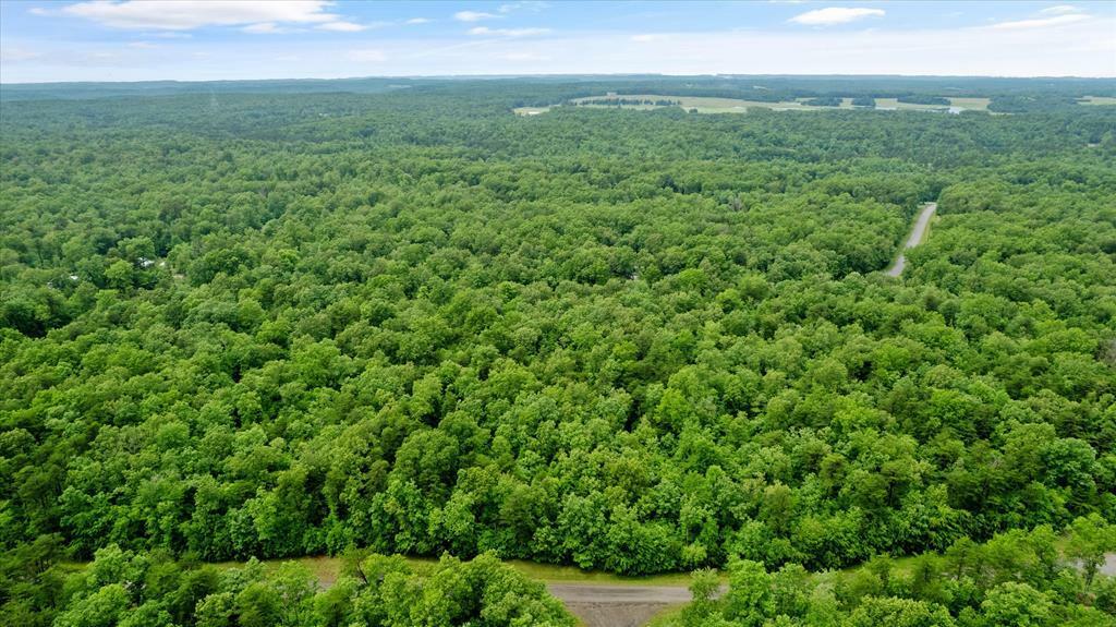 Property Photo:  1.58 Ac Mountain Ash Dr  TN 38574 