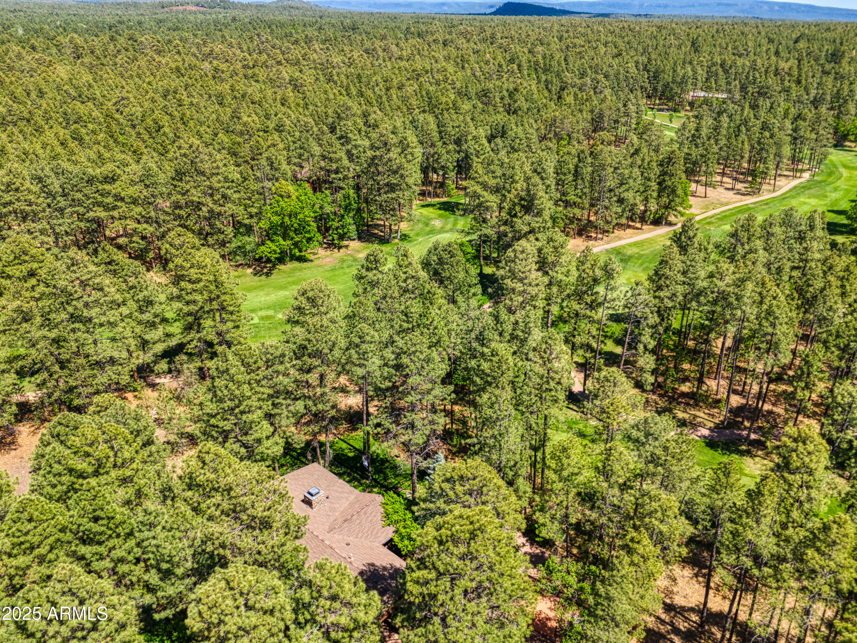 Property Photo: 3437 Red Robin Road AZ 85935