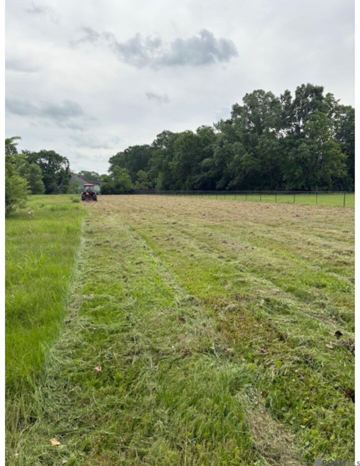 Property Photo: 15040 La Hwy 73 LA 70769