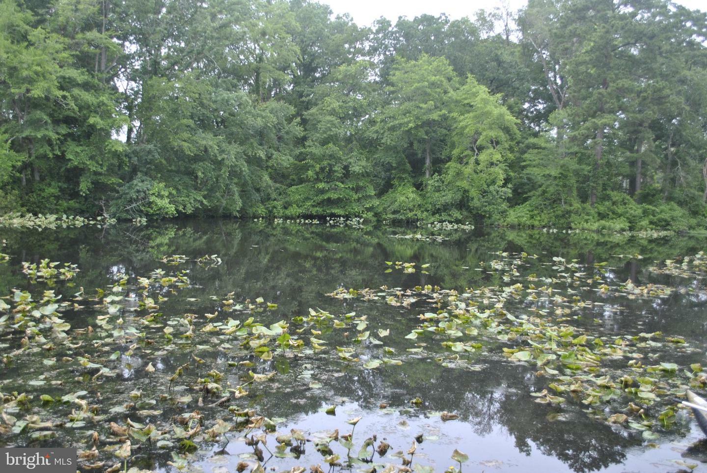 Property Photo: 228 Canal Park Drive G-1 MD 21804