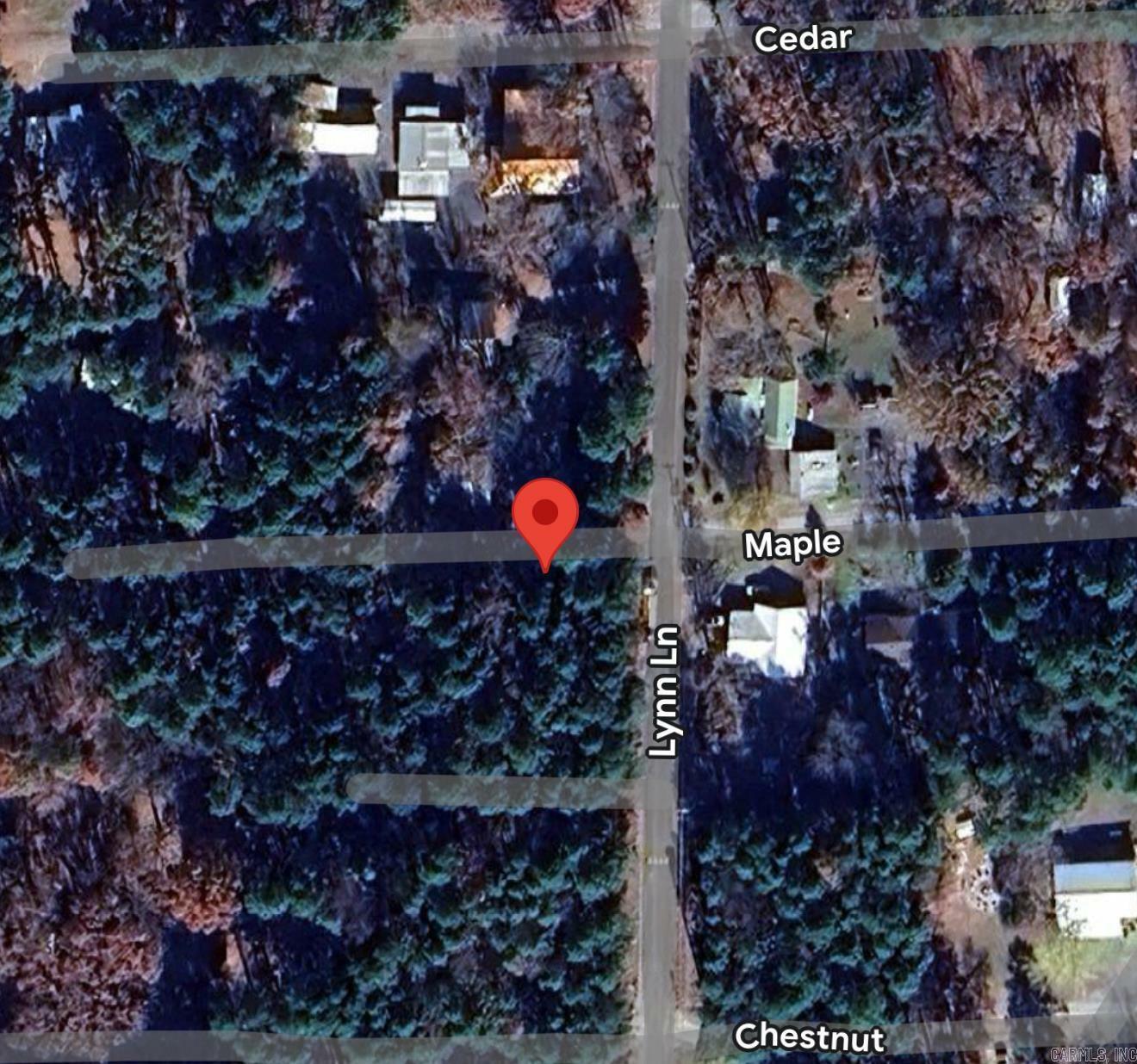 Property Photo: 00 Lynn Ln/Maple AR 72543