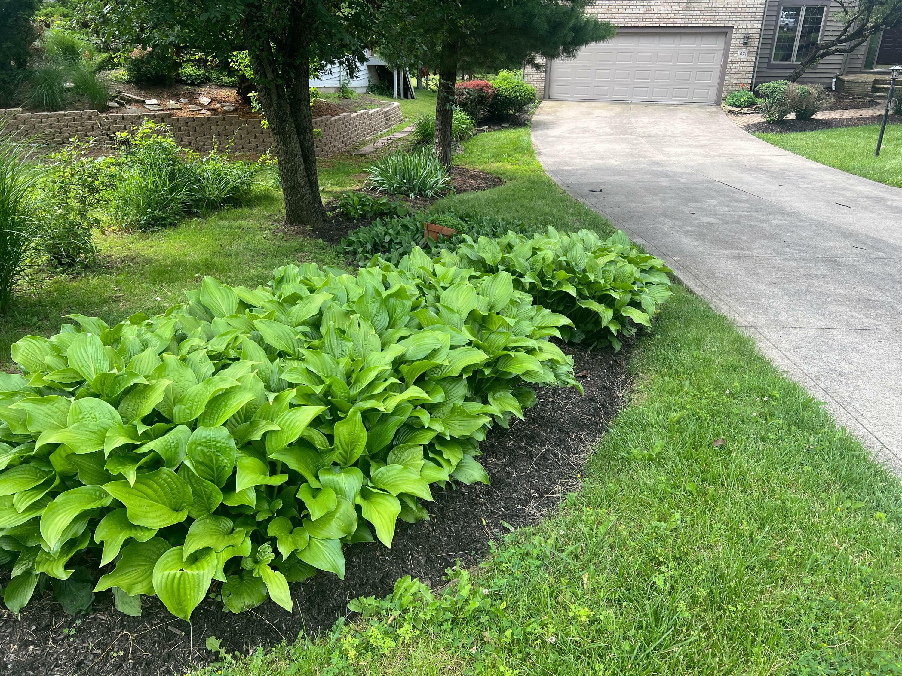 Property Photo:  471 Old Mill Drive  OH 43230 