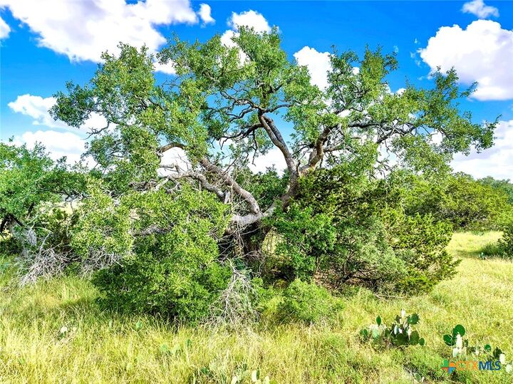 Property Photo: Tbd Oakwood Loop TX 78666