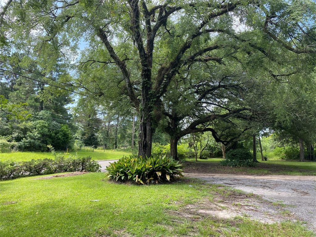 Property Photo: 459 N N Main Street TX 75845