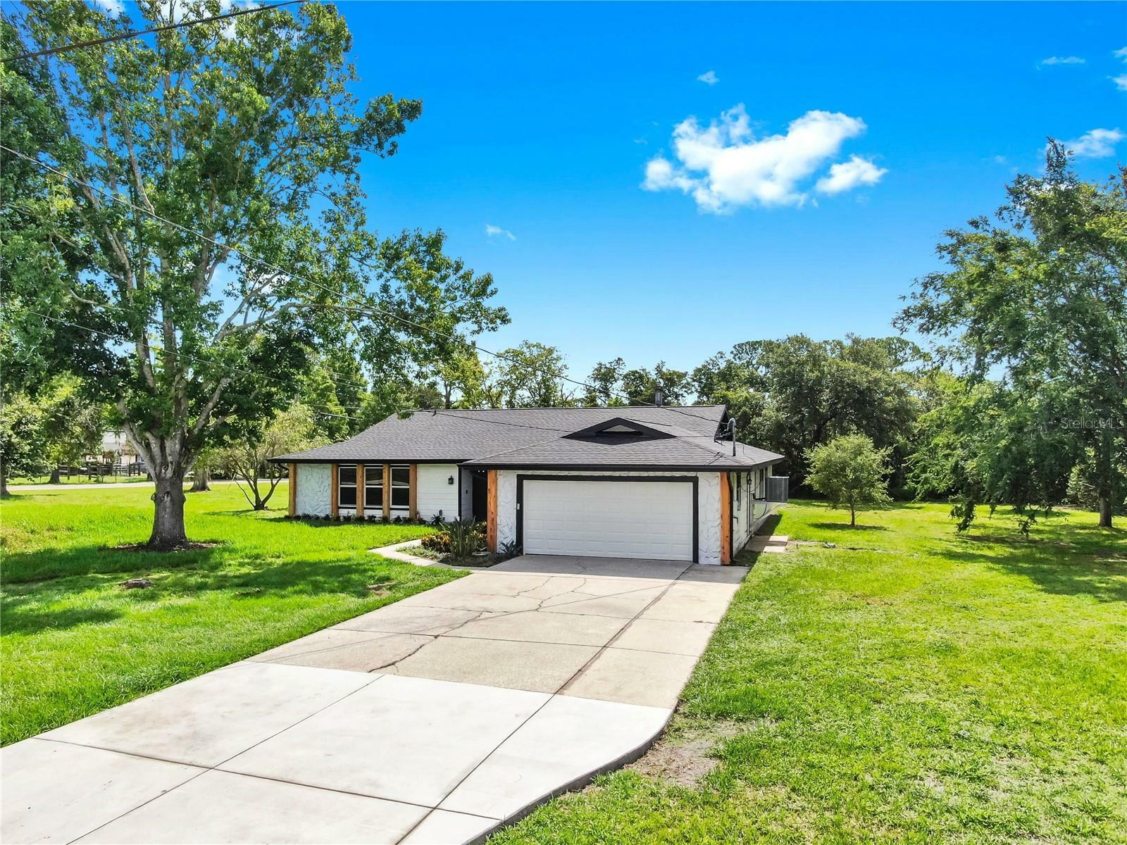9903 Saddle Road  Tampa FL 33626 photo