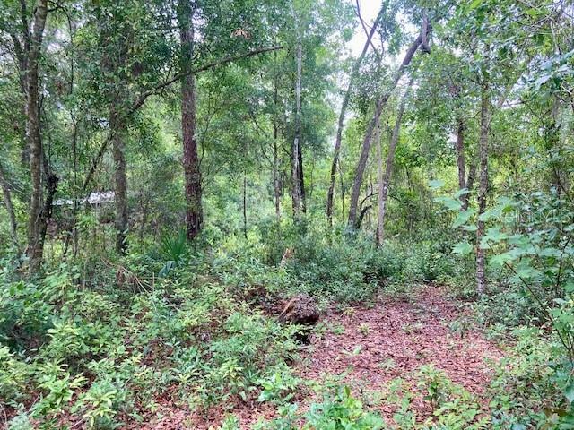 Property Photo: 407 Raulerson Road FL 32190