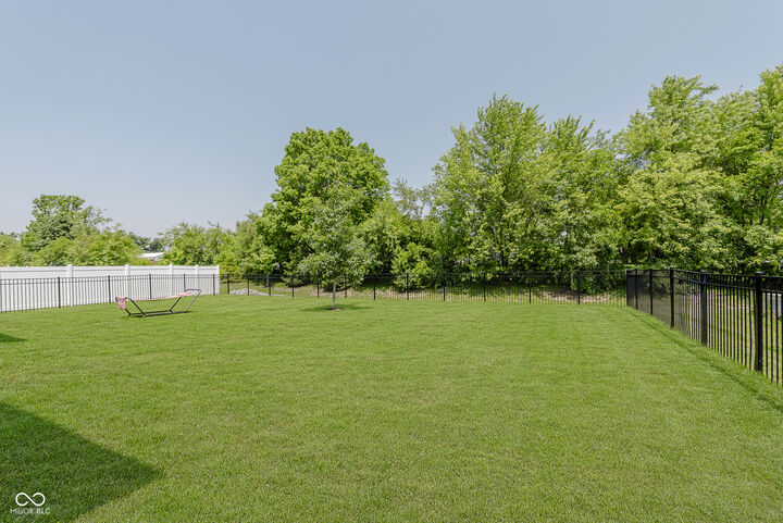 Property Photo: 11840 Crossbill Court IN 46060