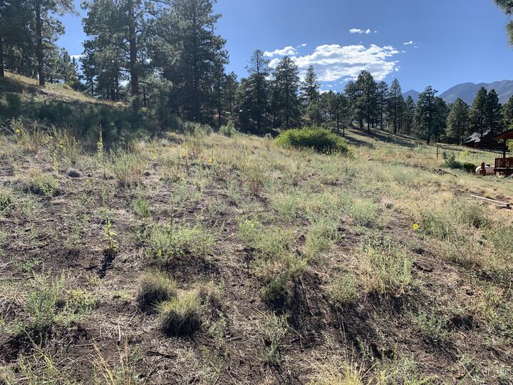 Property Photo: 11668 N Rope Arabian Road 2 AZ 86004