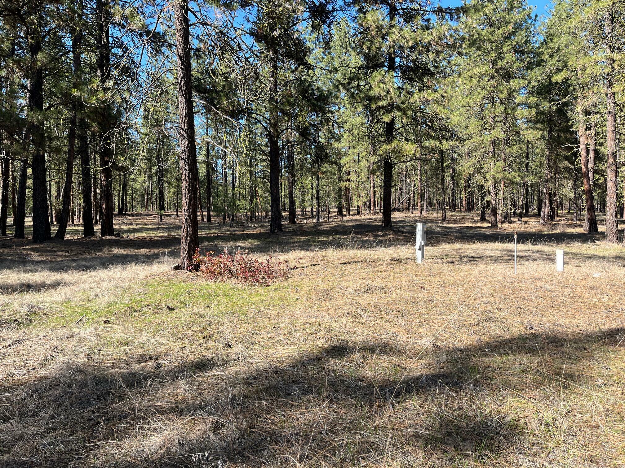 Property Photo:  Tbd Lot 1 Denton Dr  WA 99141 