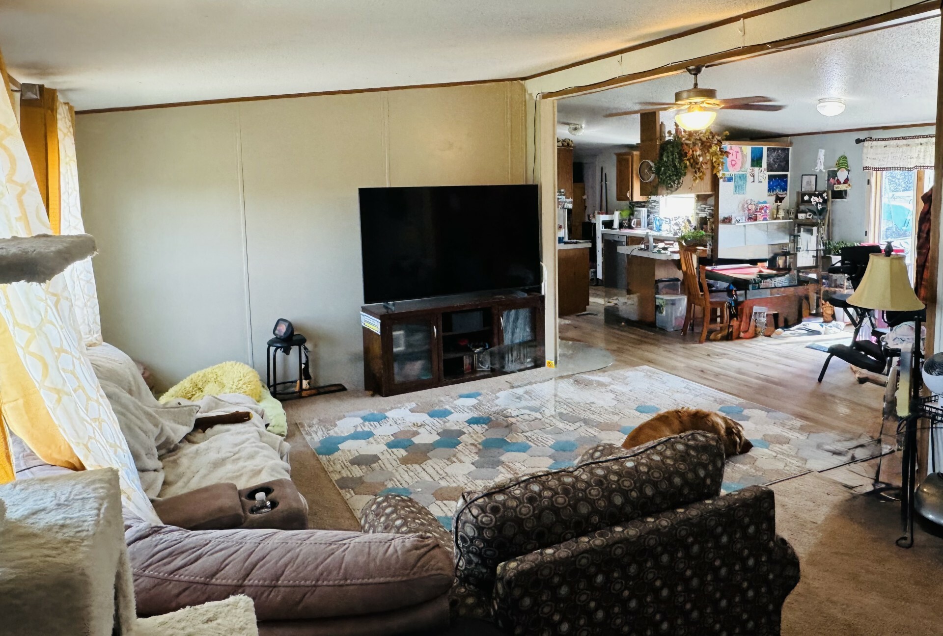 Property Photo: 40 McClellan Creek Road MT 59634