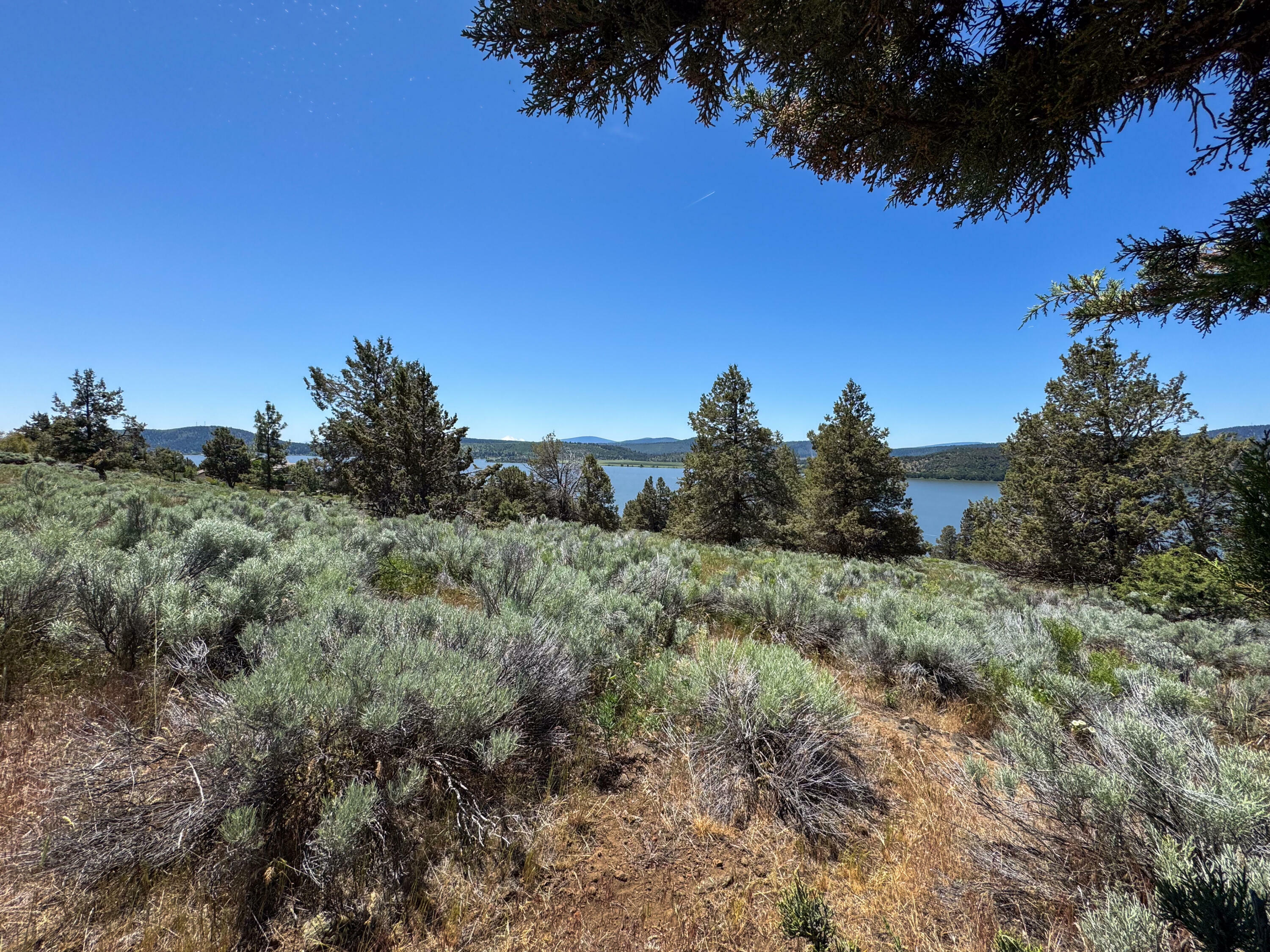 Property Photo: Sunset Ridge Drive 11.47 Acres Lot 5 OR 97601