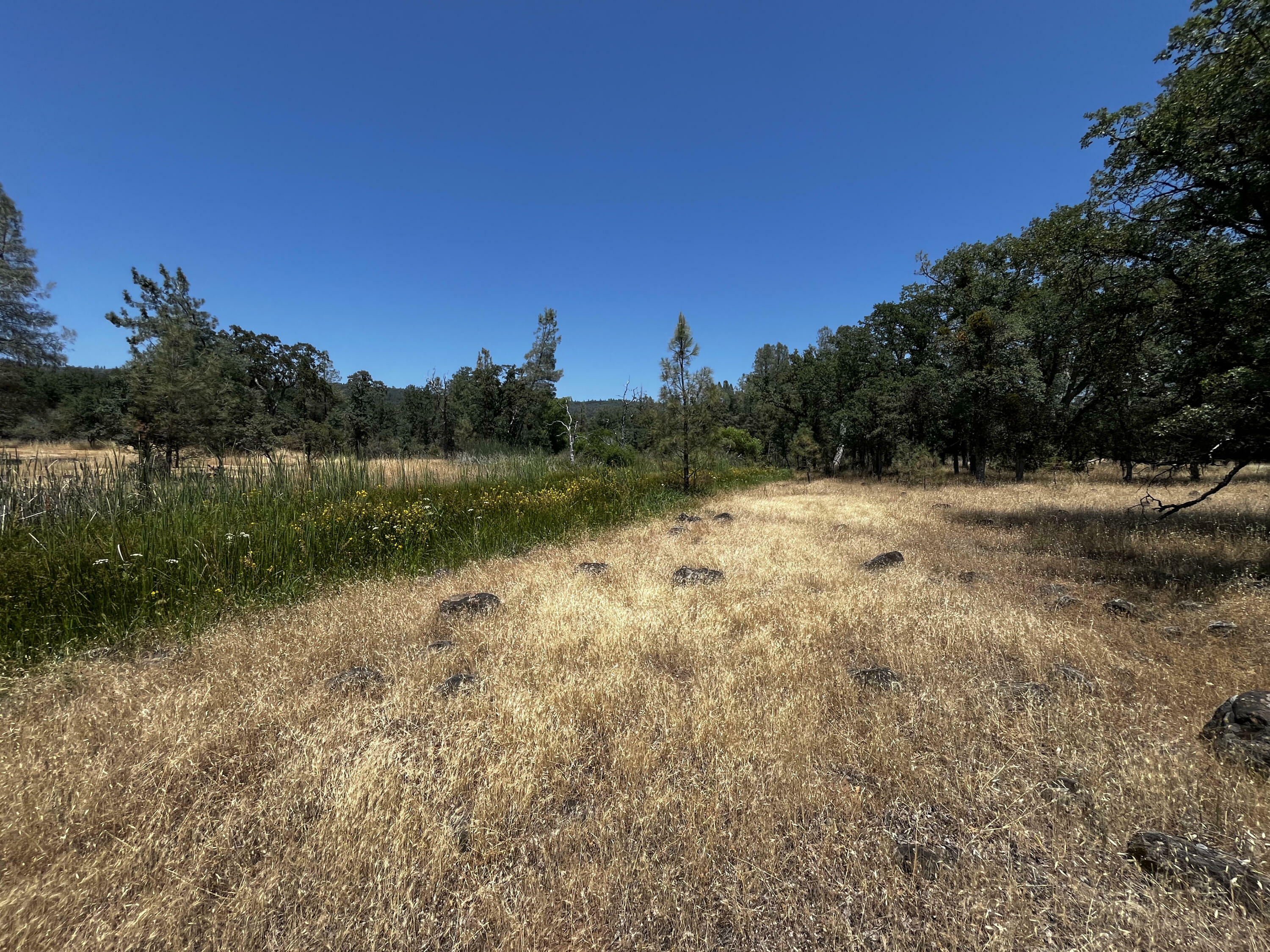 Property Photo:  Wilson Hill Road  CA 96059 
