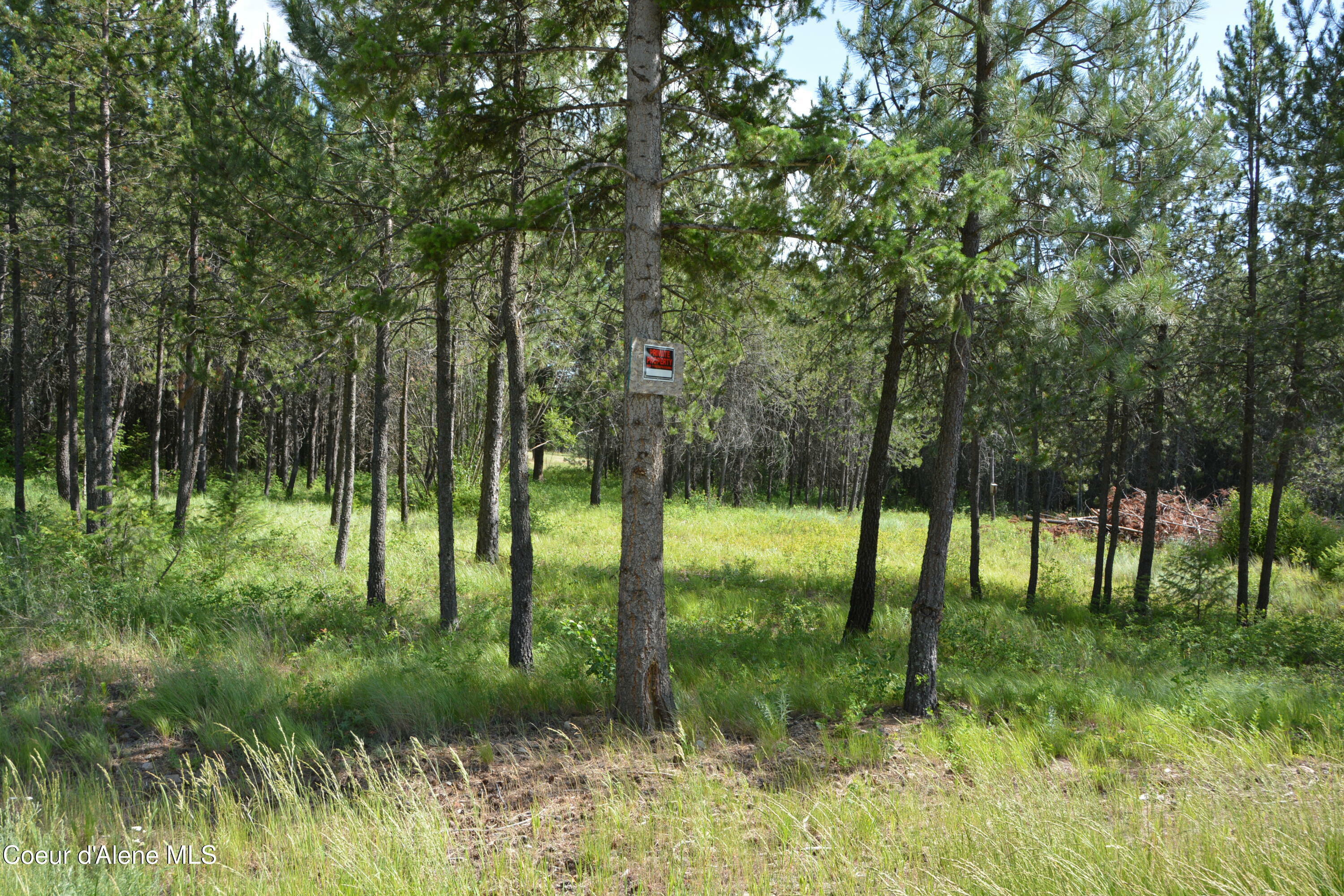 Property Photo:  Nka N Sylvan Road Road  ID 83801 