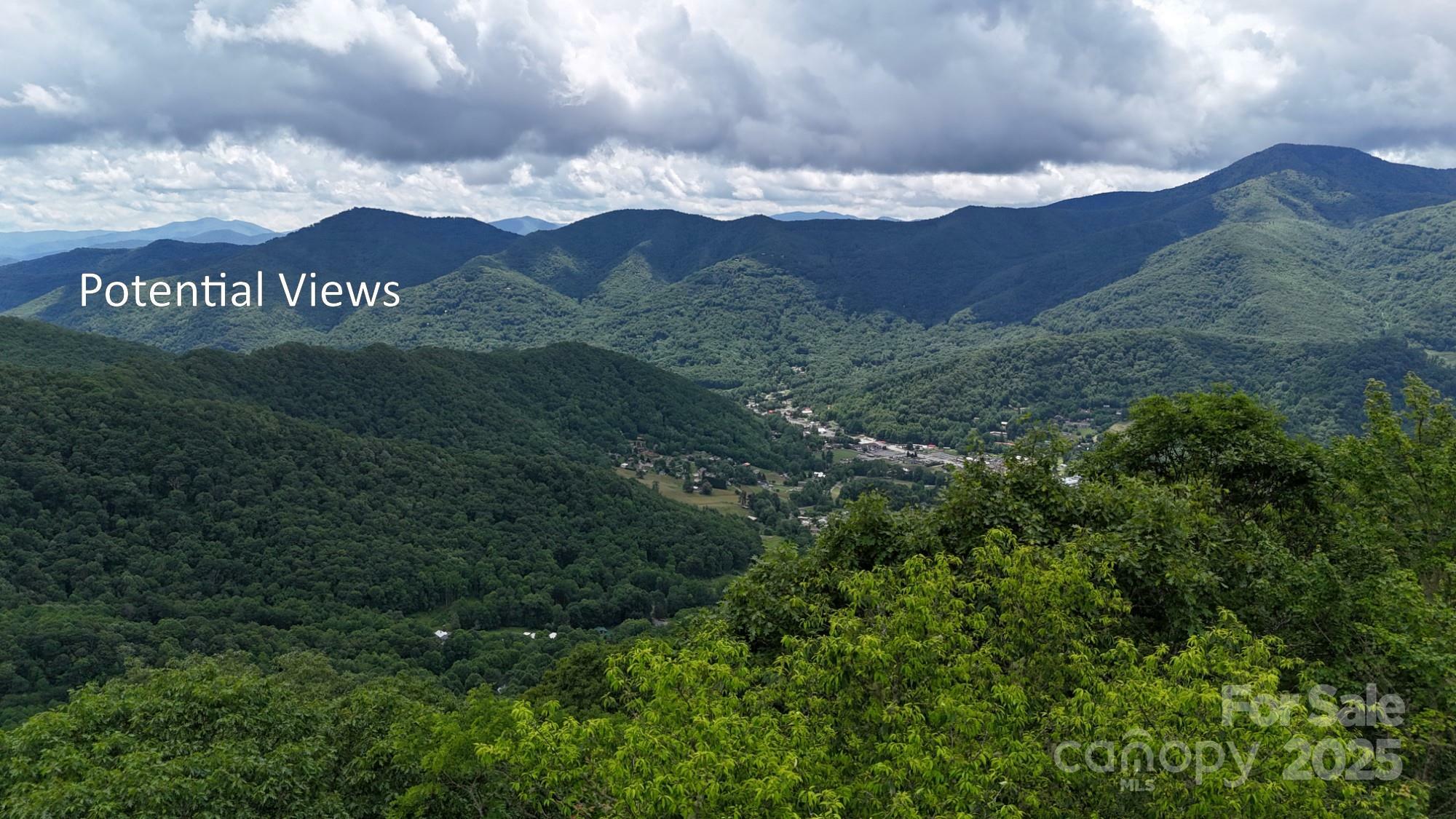 Property Photo: 00 Logging Trail NC 28751