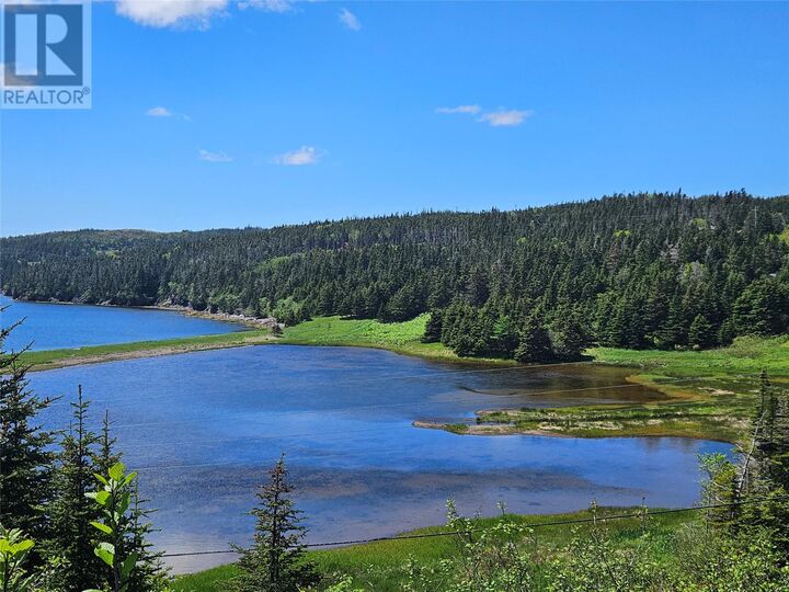 Property Photo:  0 Cashel's Cove South  NL A0E 2M0 