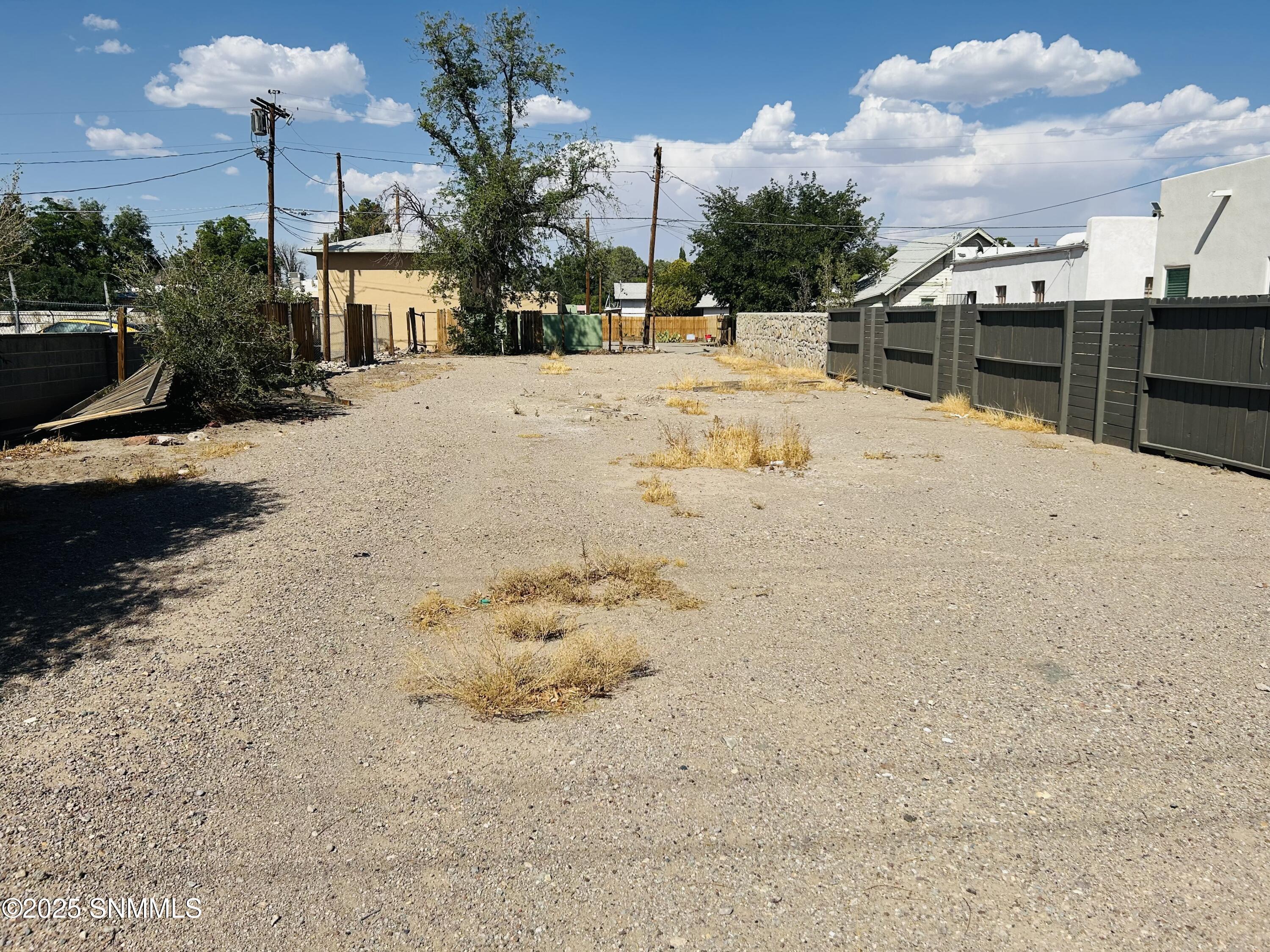 Property Photo:  420 N Mesilla Street  NM 88005 