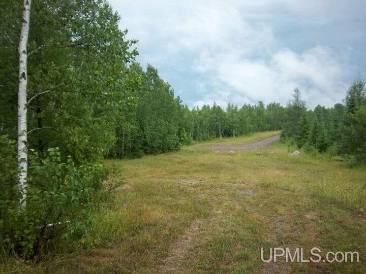 Property Photo:  Off Chaney Shores Road  MI 49911 