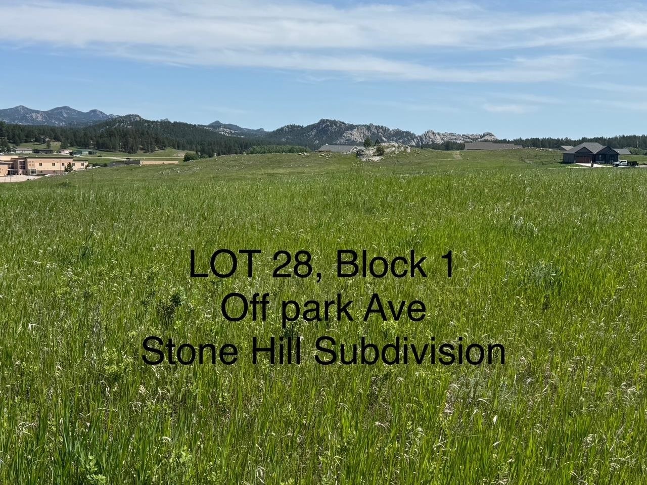 Lot 28 Park Avenue  Custer SD 57730 photo