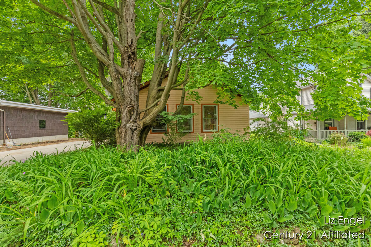 Property Photo: 259 North Street MI 49453