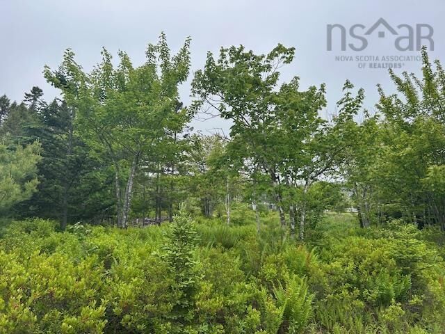 Property Photo:  Lot 7 Bay Street  NS B0E 3B0 