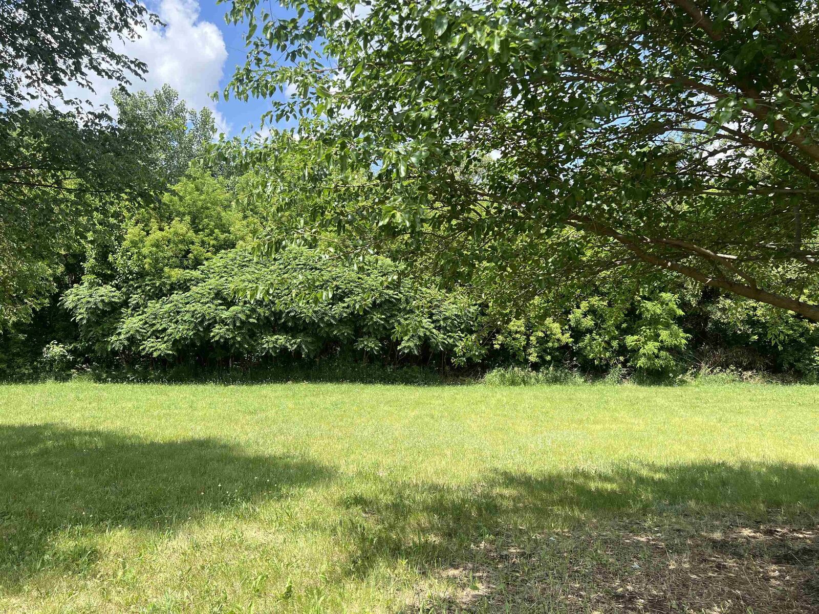 Property Photo:  14358 Prairie Commons Lane  IL 61080 