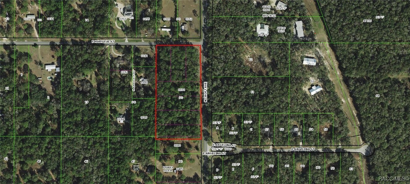 Property Photo: 2850 E Mary Lue Street FL 34453