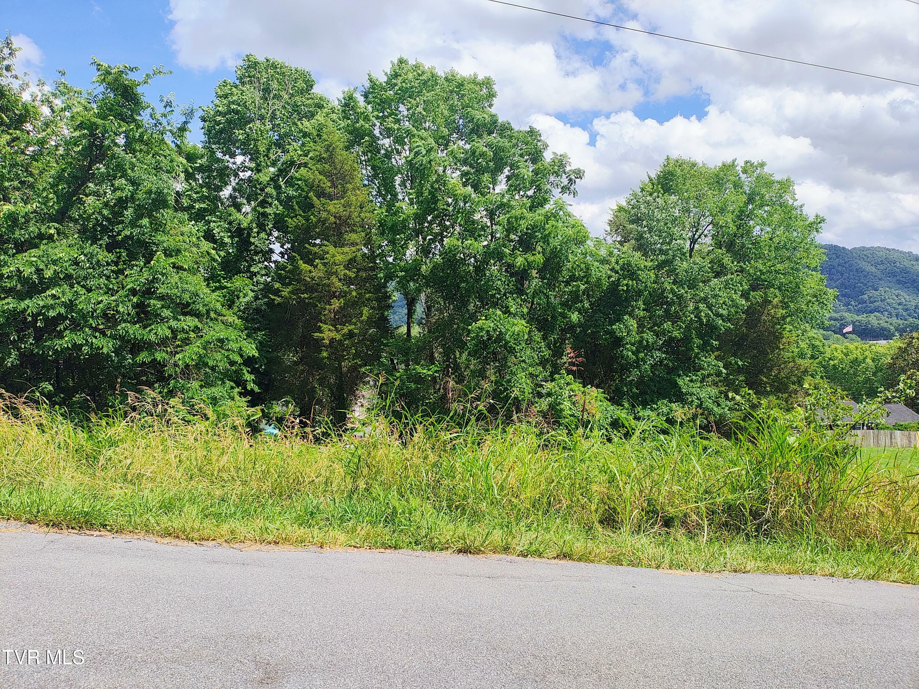 Property Photo: Lot 13 Mountain View Drive TN 37620
