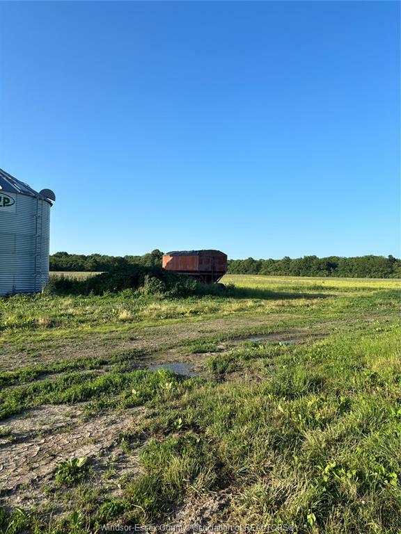 119 Victoria  Pelee Island ON N0R 1M0 photo