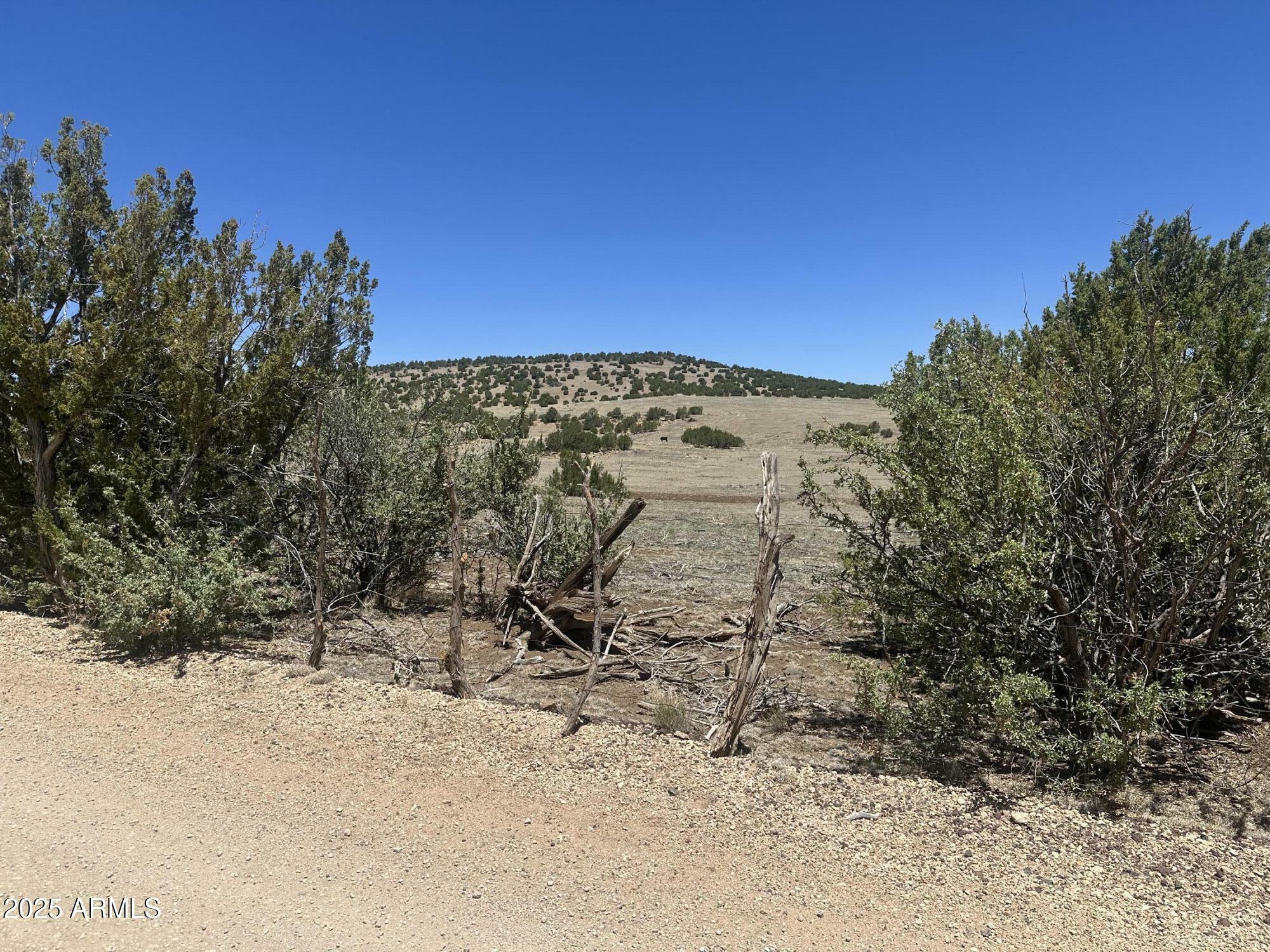 Property Photo:  3 Acr 3195 -- 273  AZ 85940 