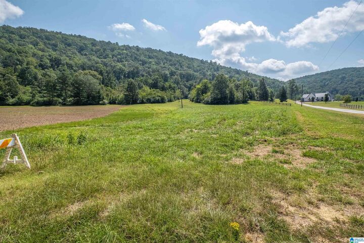 Property Photo:  10.0 Crimson Lake Drive X  AL 35905 