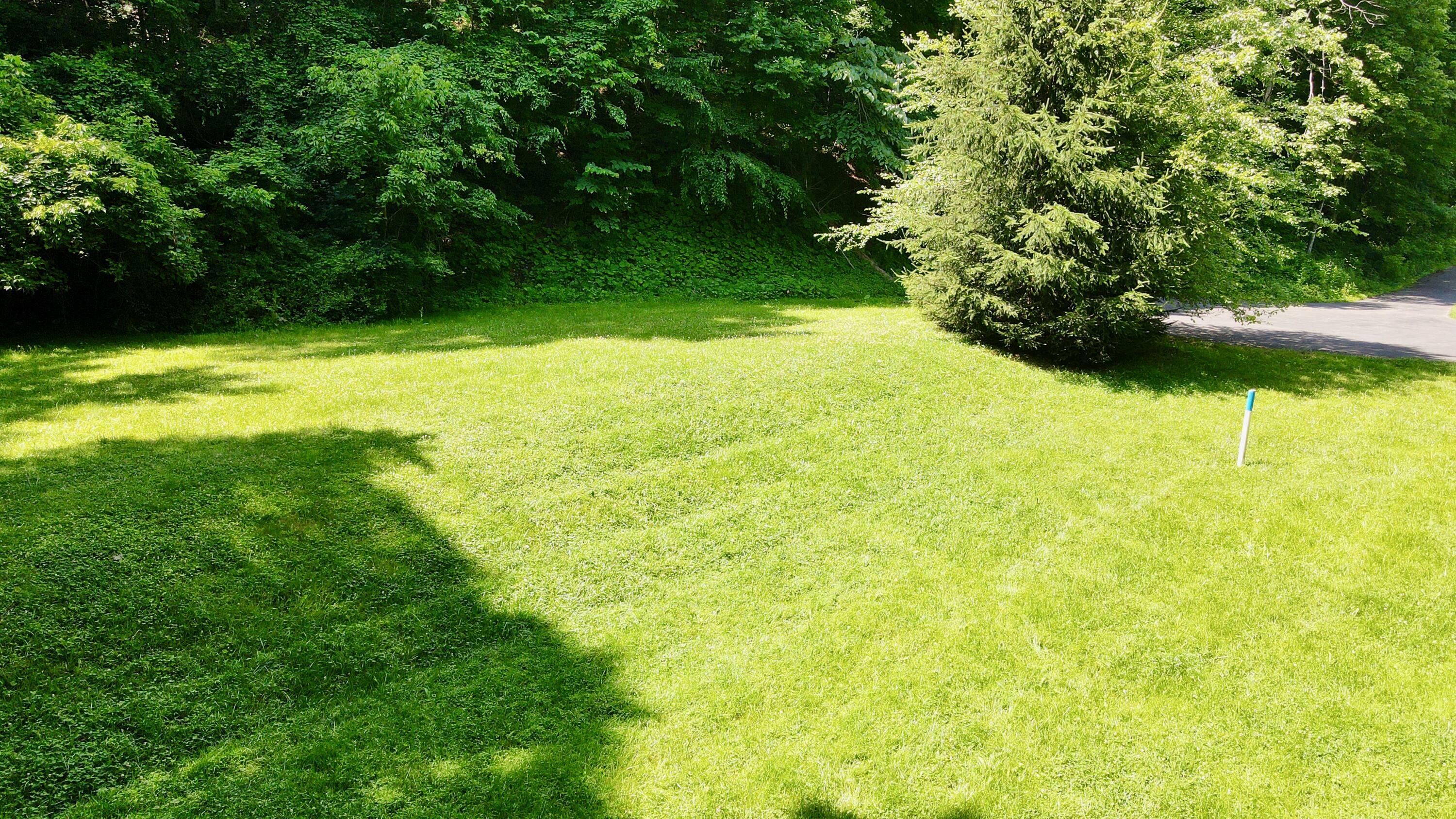 Property Photo: 557 Fox Run Rd WV 24925