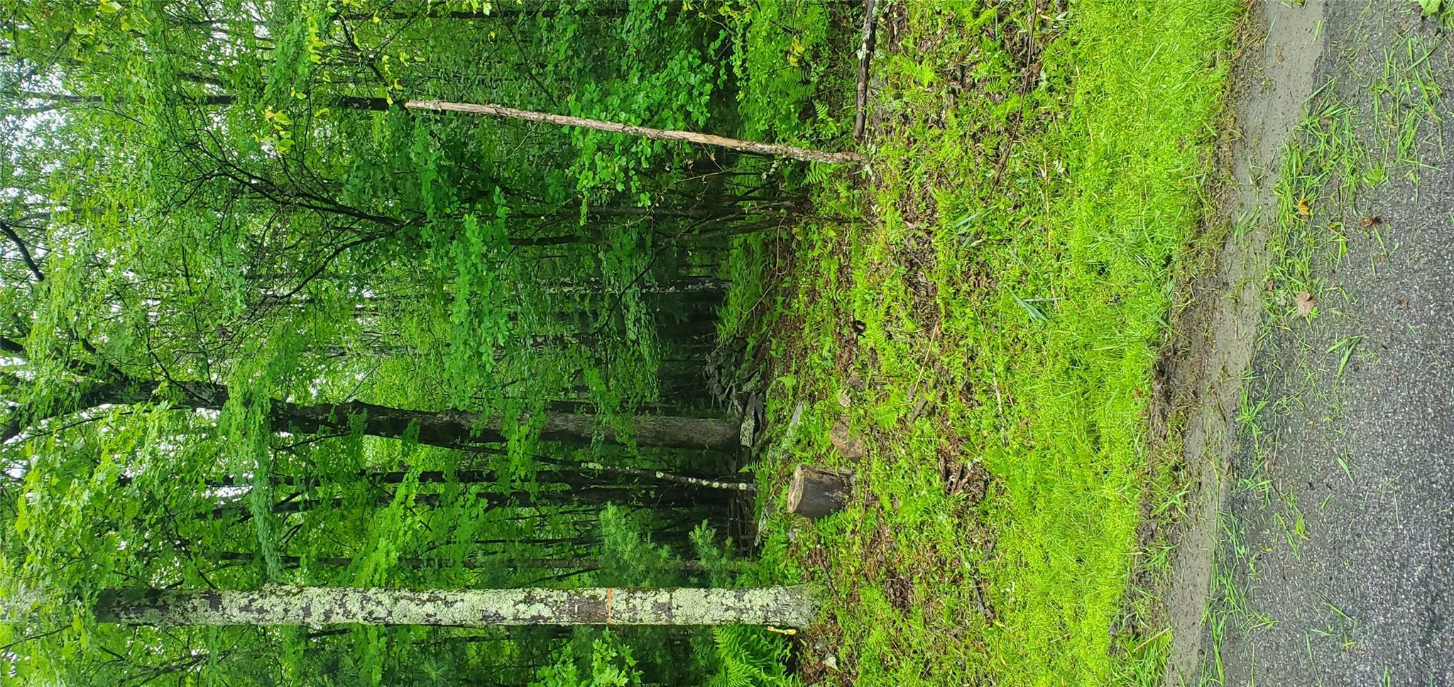 Property Photo: Tr 105 Cypert Road NY 12733