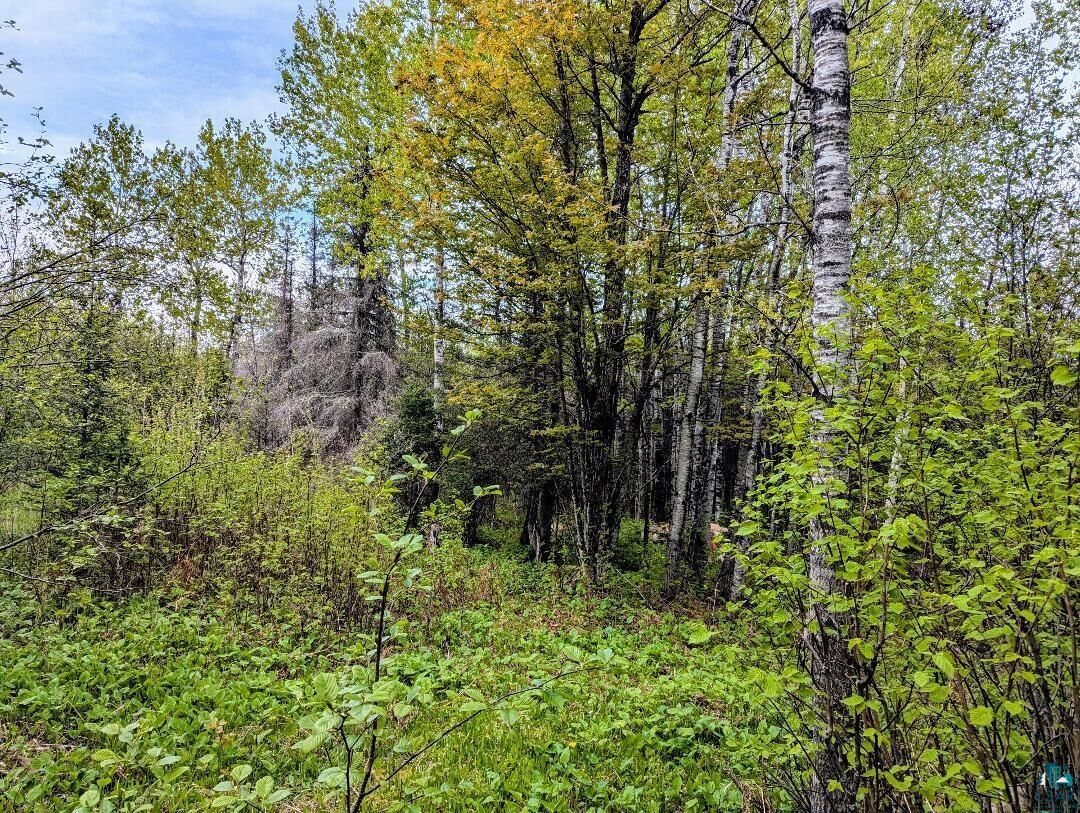 Property Photo:  Xx37 W Lismore Rd  MN 55803 