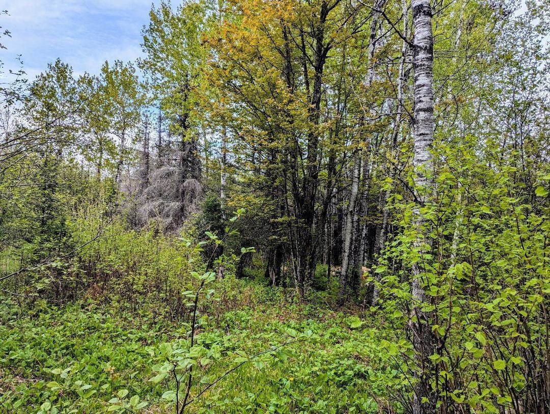 Property Photo:  Xx37 W Lismore Rd  MN 55803 