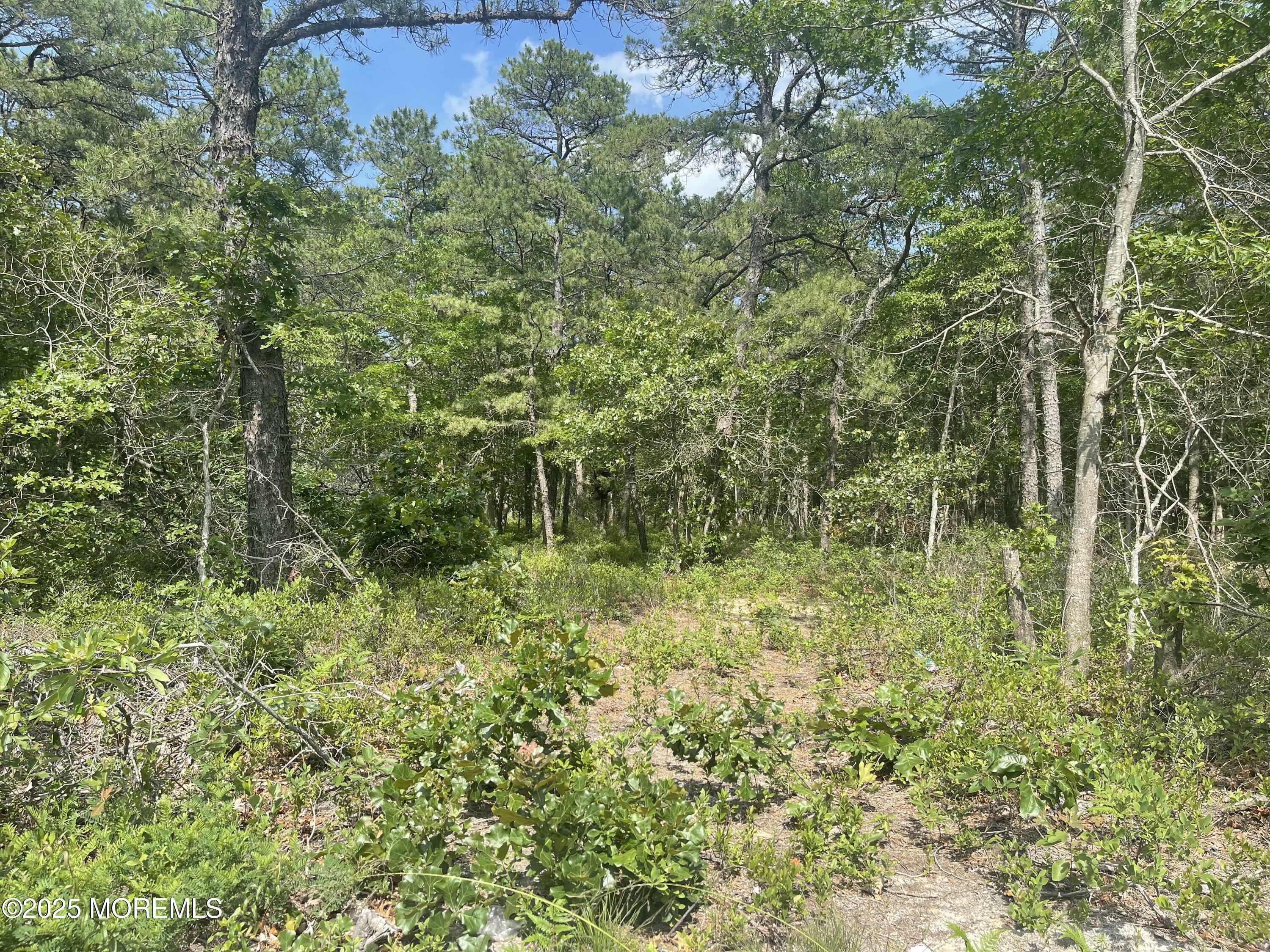 Property Photo: 1463 Route 539 NJ 08087