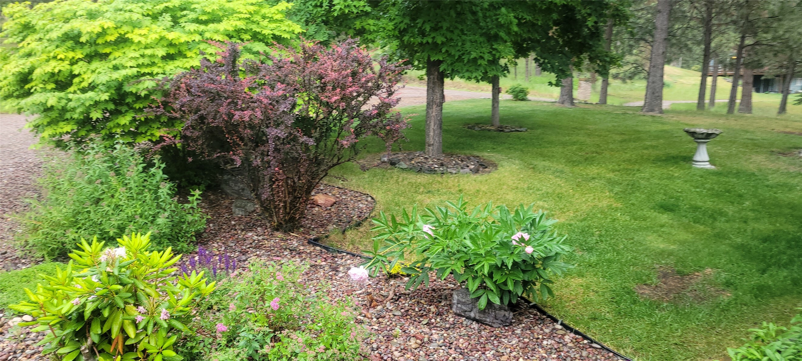 Property Photo: 41052 Canyon View Drive MT 59860
