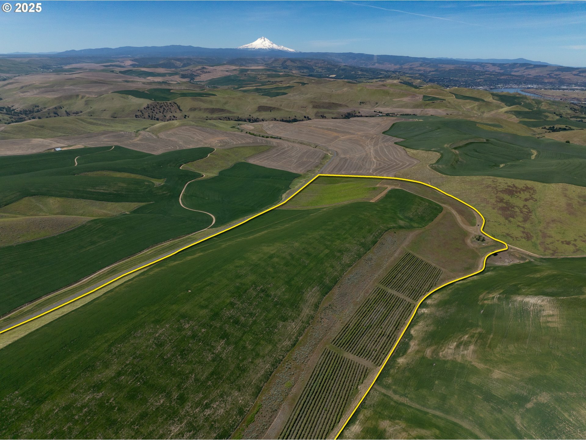 Property Photo:  Emerson Loop Rd  OR 97058 
