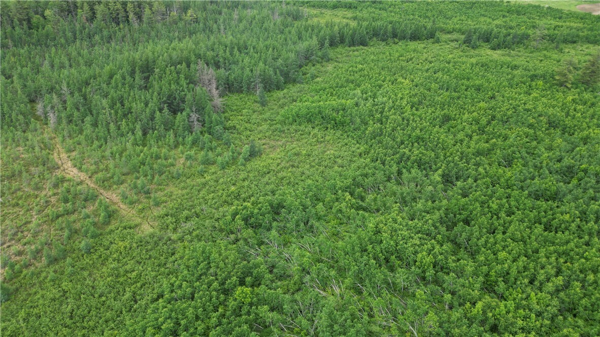 80 Acres Off Of Hwy 40  Radisson WI 54867 photo