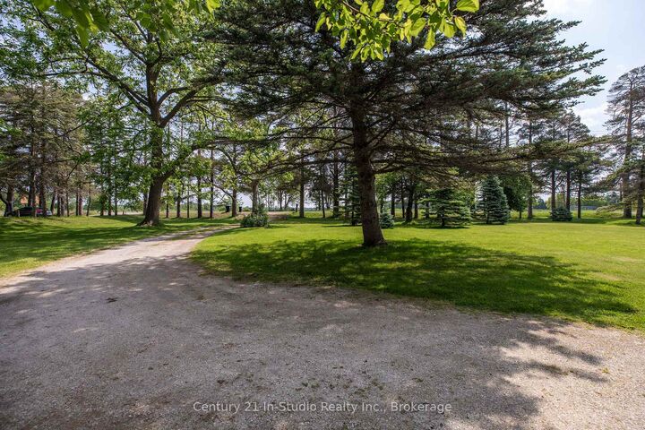 Photo de la propriété: 3926 County Road 124 Road ON L0M 1P0