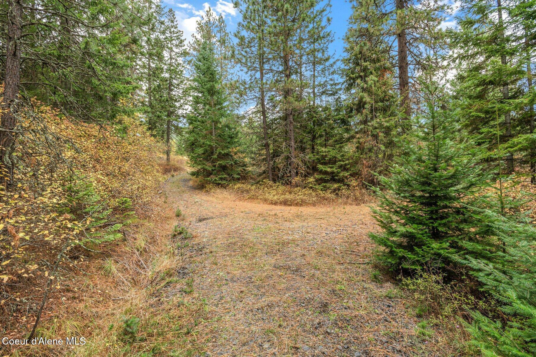 Property Photo:  Nka W Clemetson Rd  ID 83814 