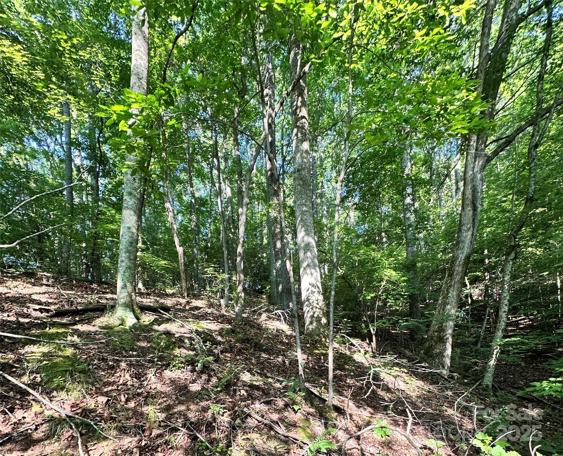Property Photo: 17 Tara Drive NC 28806