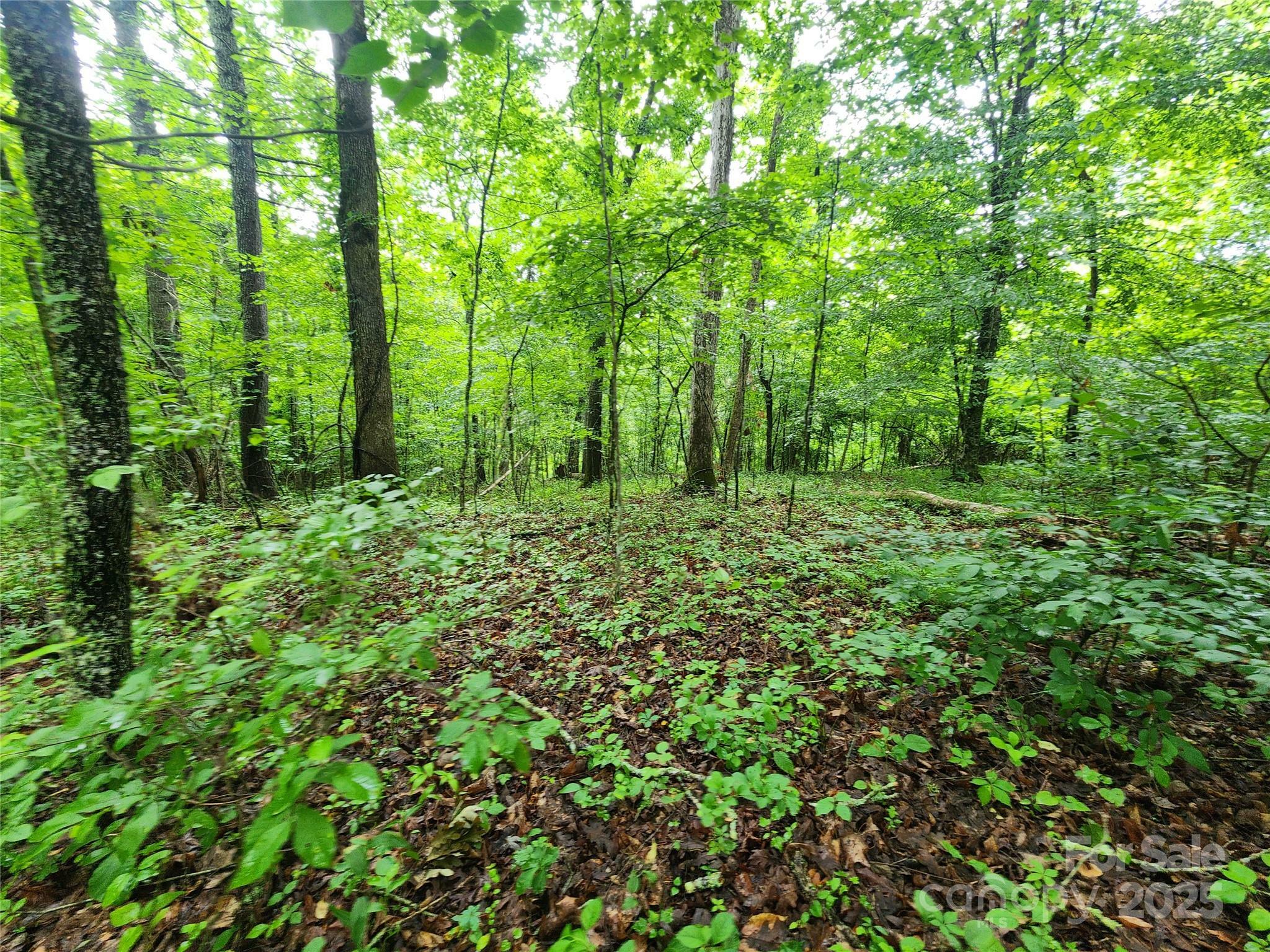 Property Photo: 9999 Henry Worley Lane NC 28753