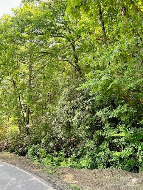 Property Photo: Lots P12-22 &Amp P12-23 Green River Cove Road 22 &Amp 23 NC 28773