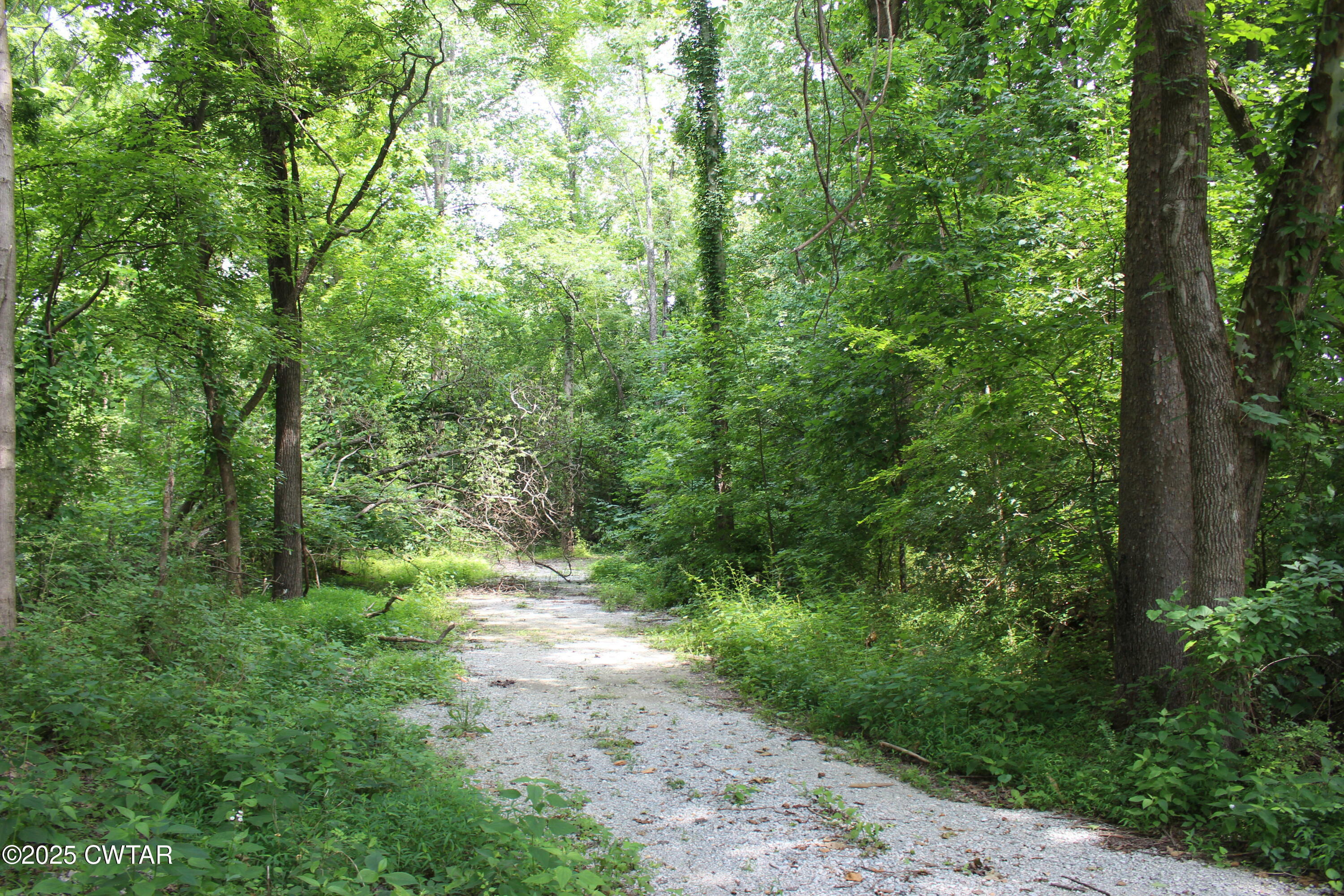 Property Photo: 0 Rushwood Drive TN 38305