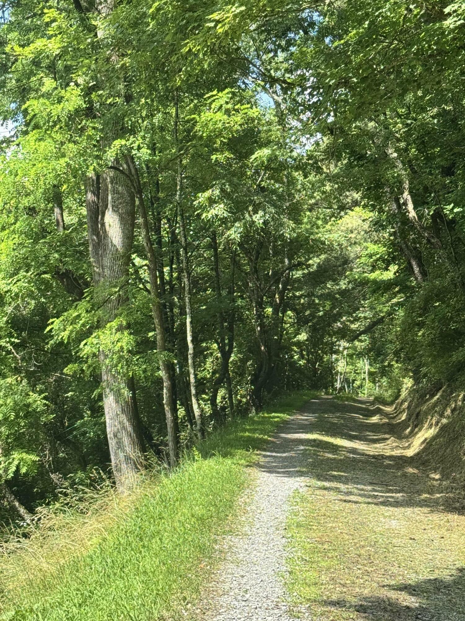 Property Photo: 25 E Lynn St WV 26261