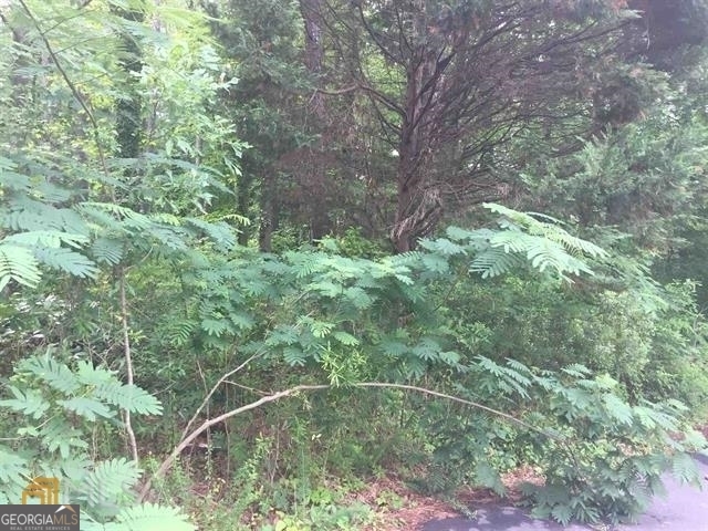 Property Photo:  4588 Amherst Forest Drive  GA 30038 