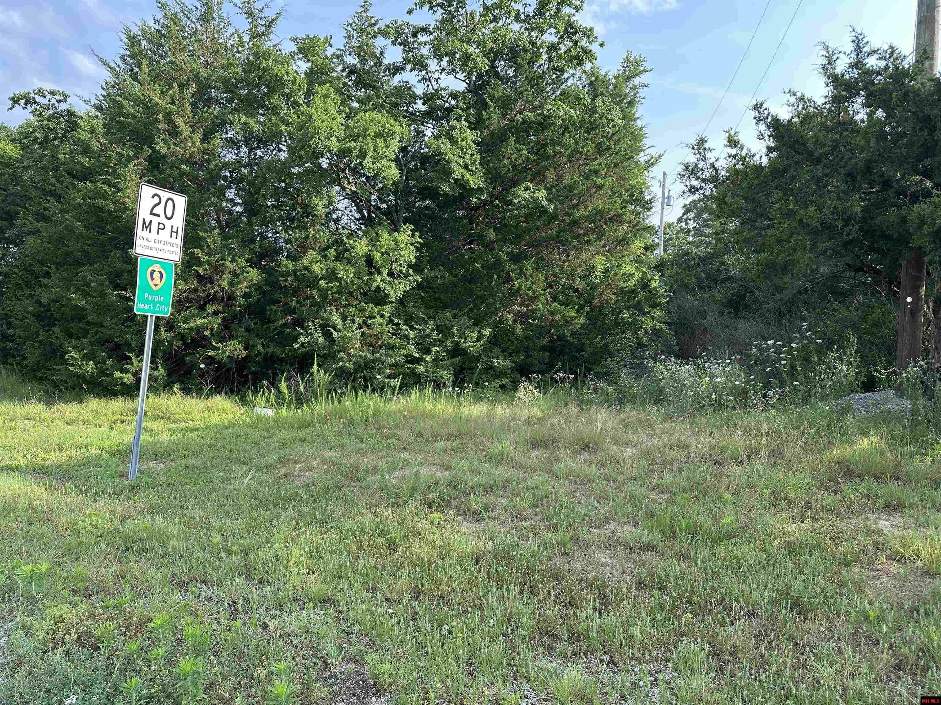 Property Photo: 770-05771-000 Hwy 62 B AR 72634