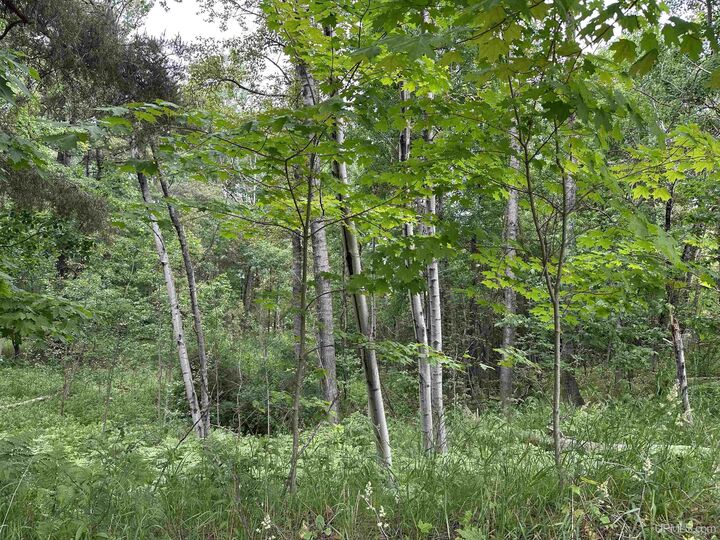 Property Photo: 713 Grove Street MI 49855